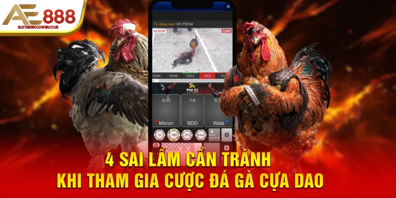 4 sai lầm cần tránh khi tham gia cược đá gà cựa dao