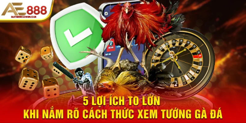 5 lợi ích to lớn khi nắm rõ cách thức xem tướng gà đá