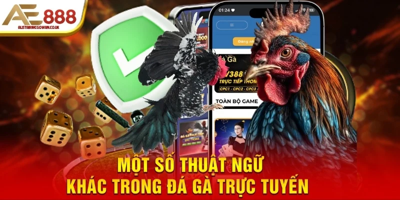 Thuật ngữ khác trong đá gà trực tuyến